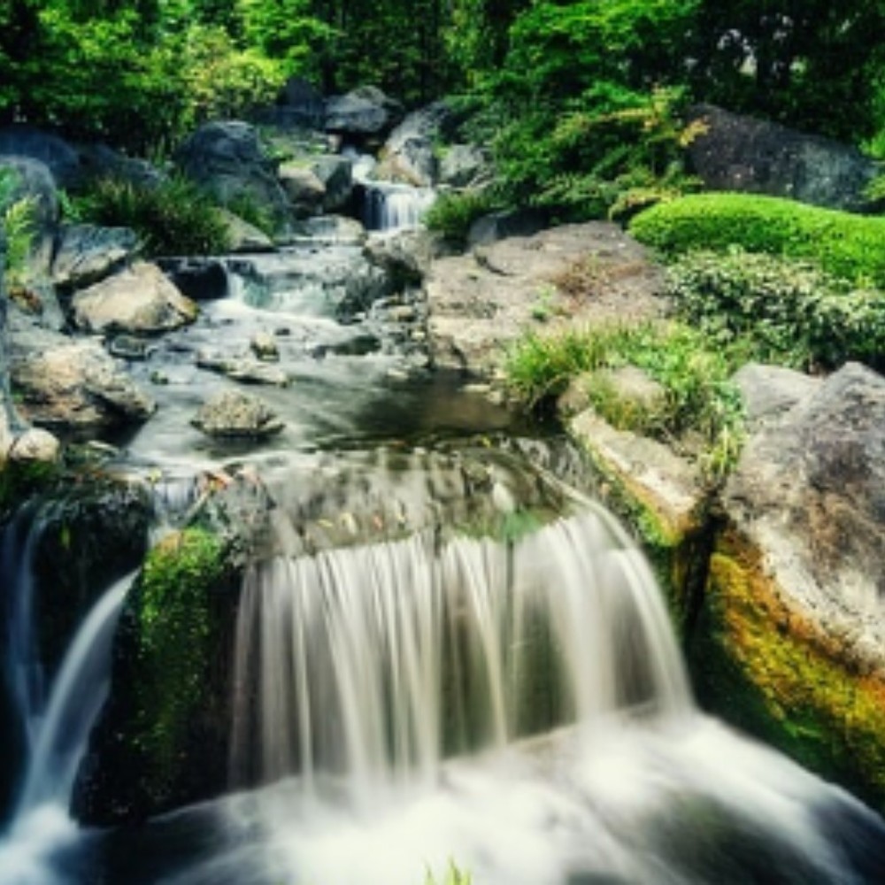 Meet your Posher, Barbara